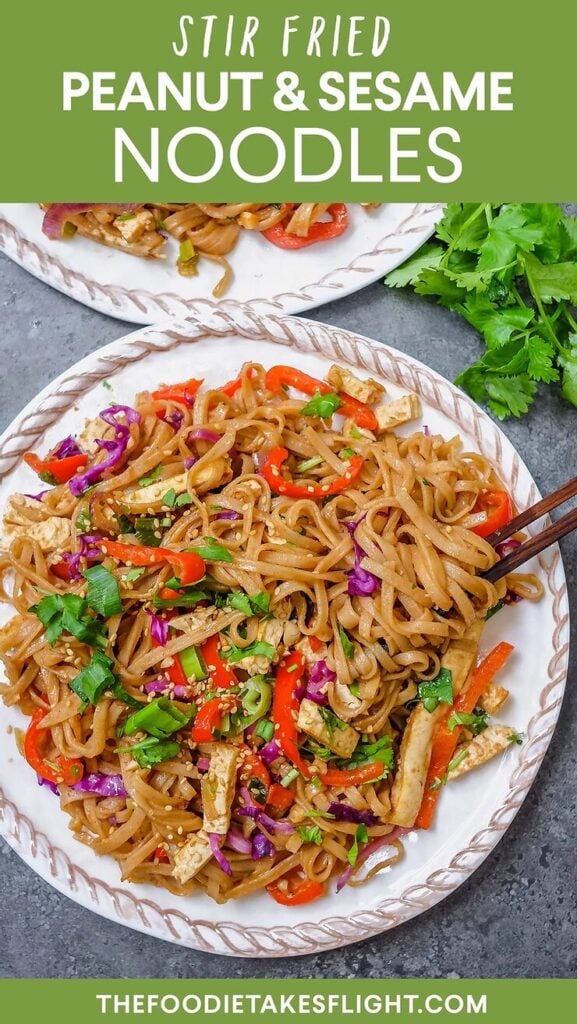 Stir-Fried Peanut Sesame Noodles - The Foodie Takes Flight