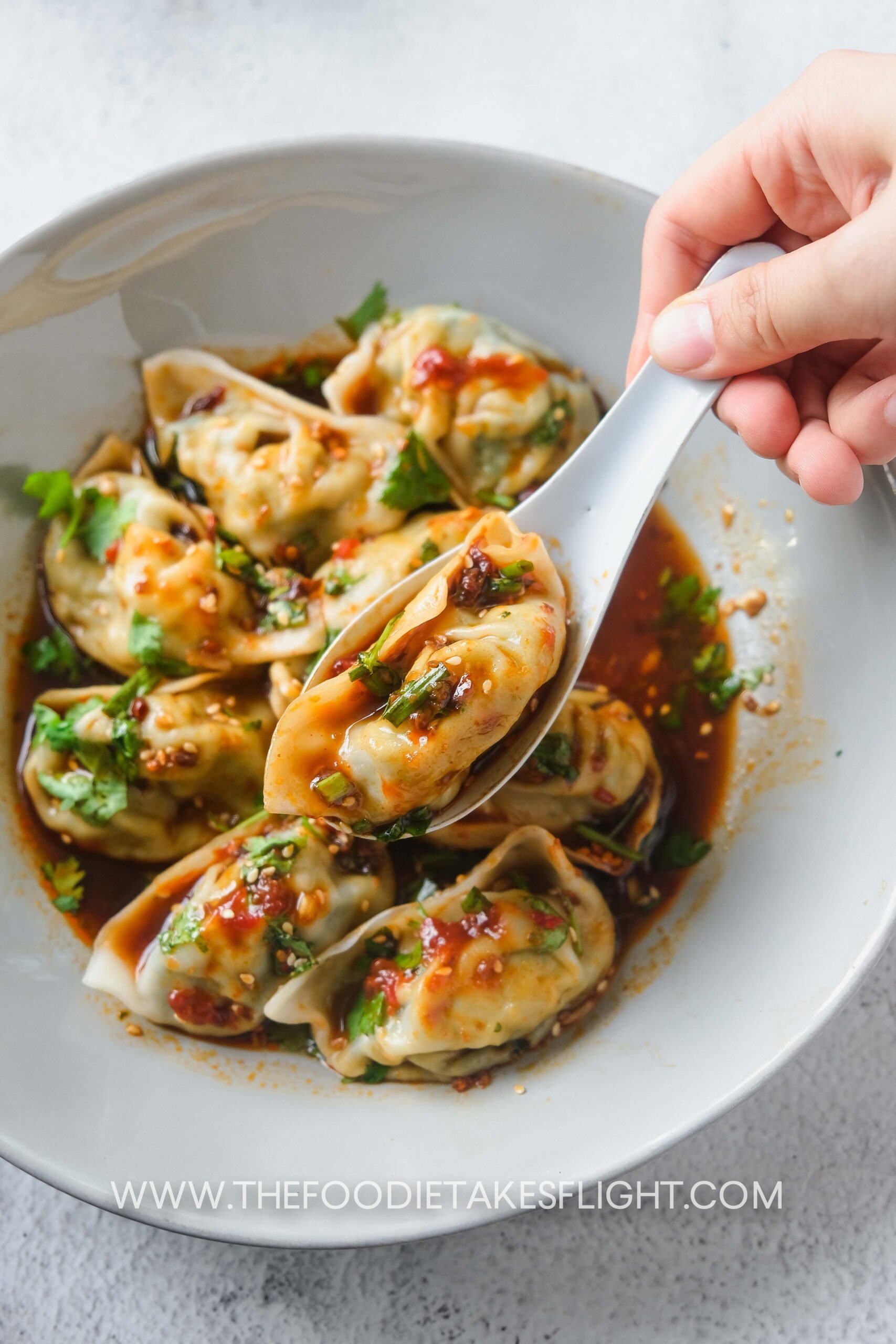 Steamed Dumplings with The Best Dipping Sauce The Foodie Takes Flight