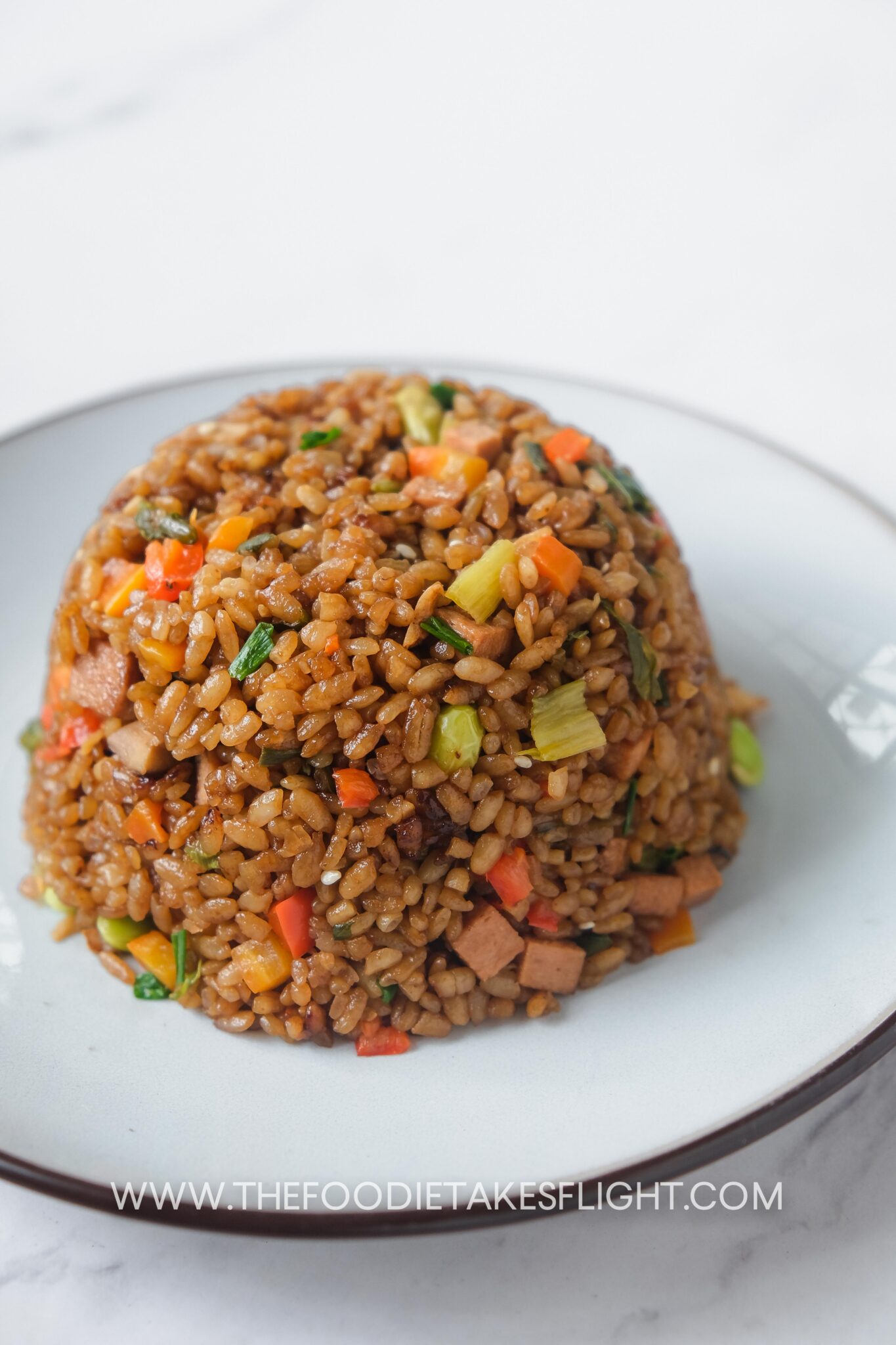 One Pot Rice Cooker Meal The Foodie Takes Flight