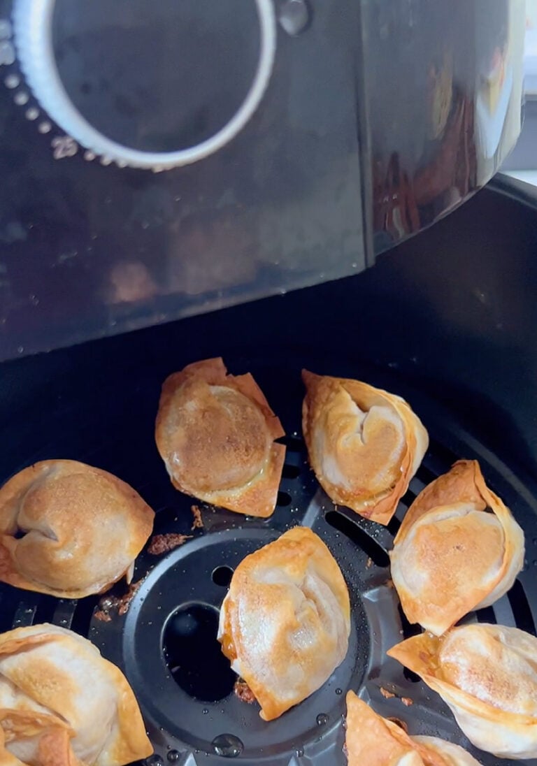 AirFried Wontons The Foodie Takes Flight