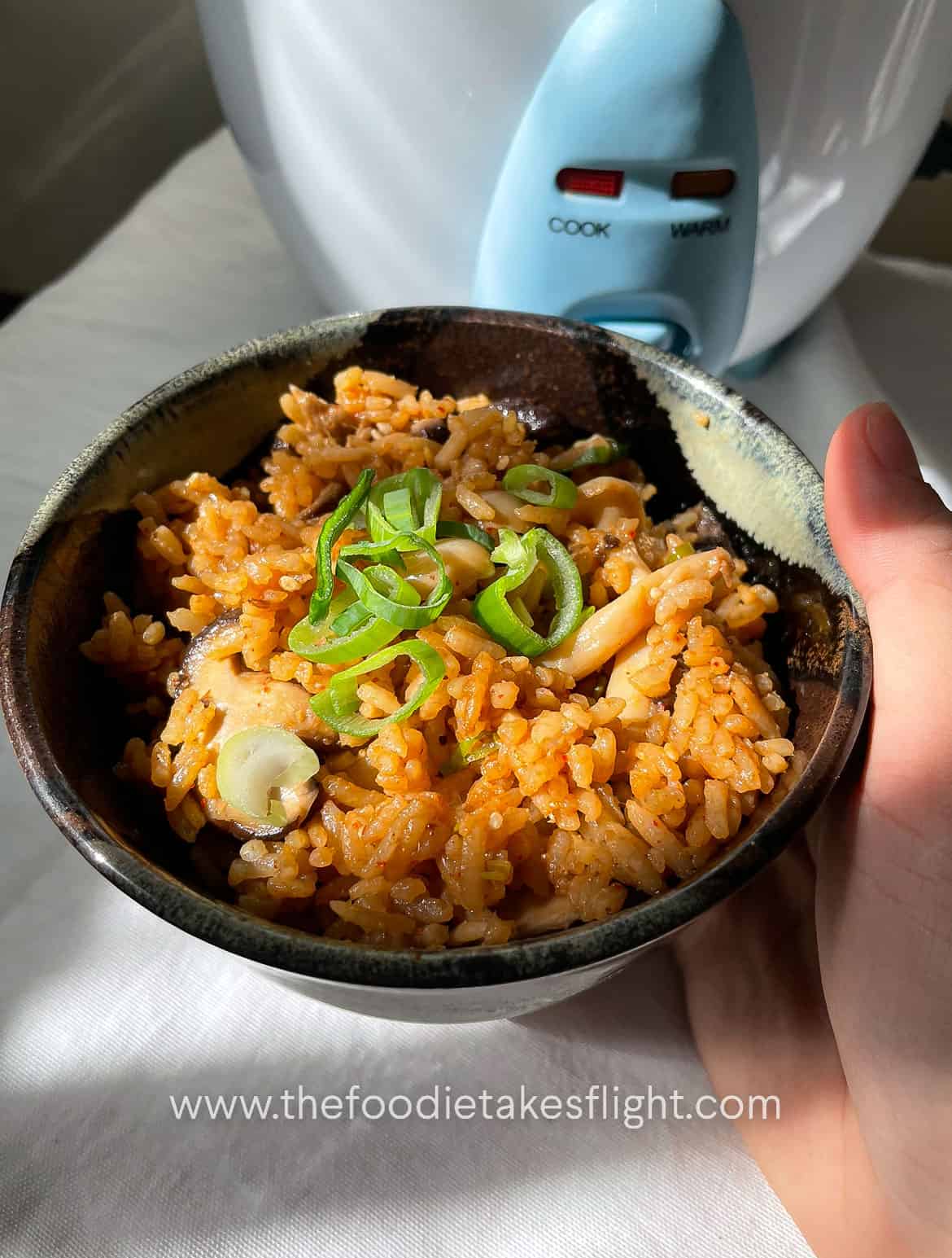 One Pot Mushroom Rice with Spicy Miso Sauce - The Foodie Takes Flight