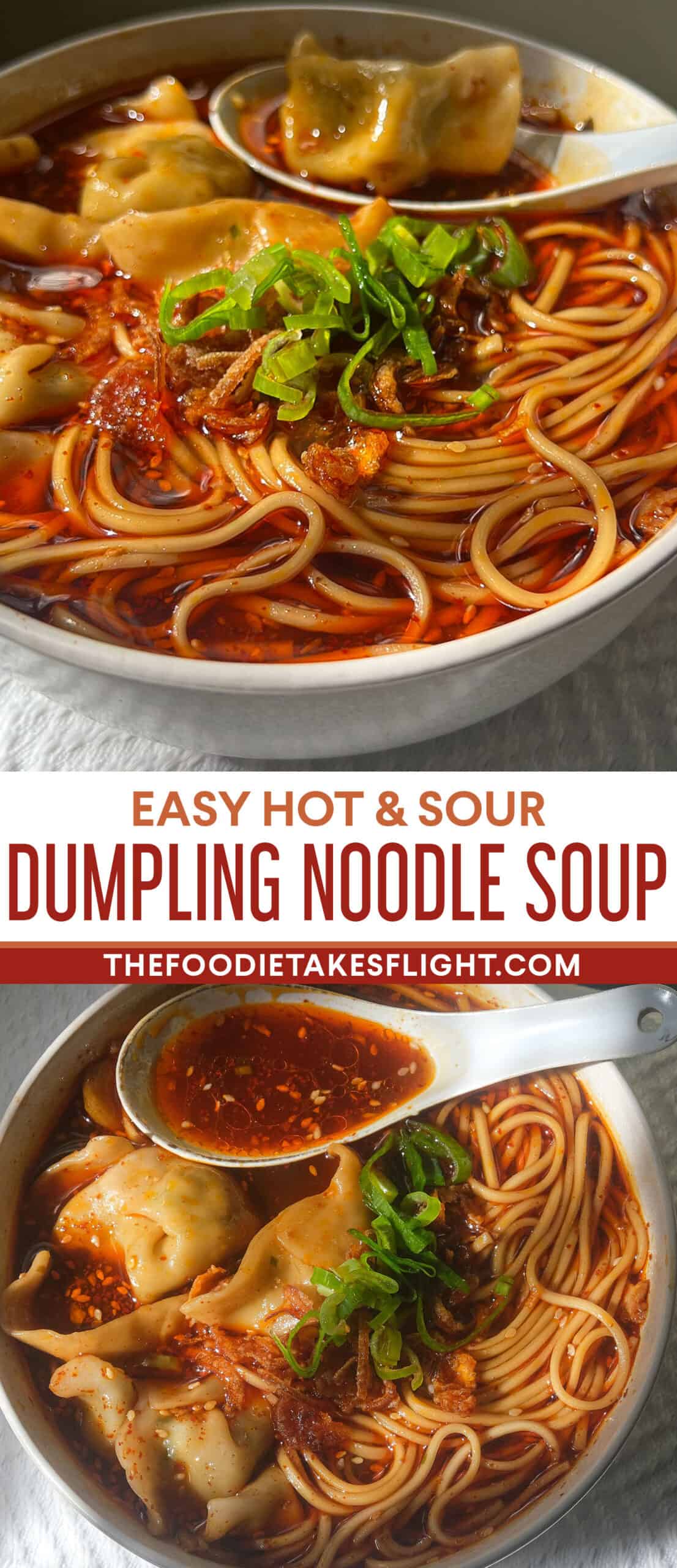 Hot and Sour Dumpling Noodle Soup The Foodie Takes Flight