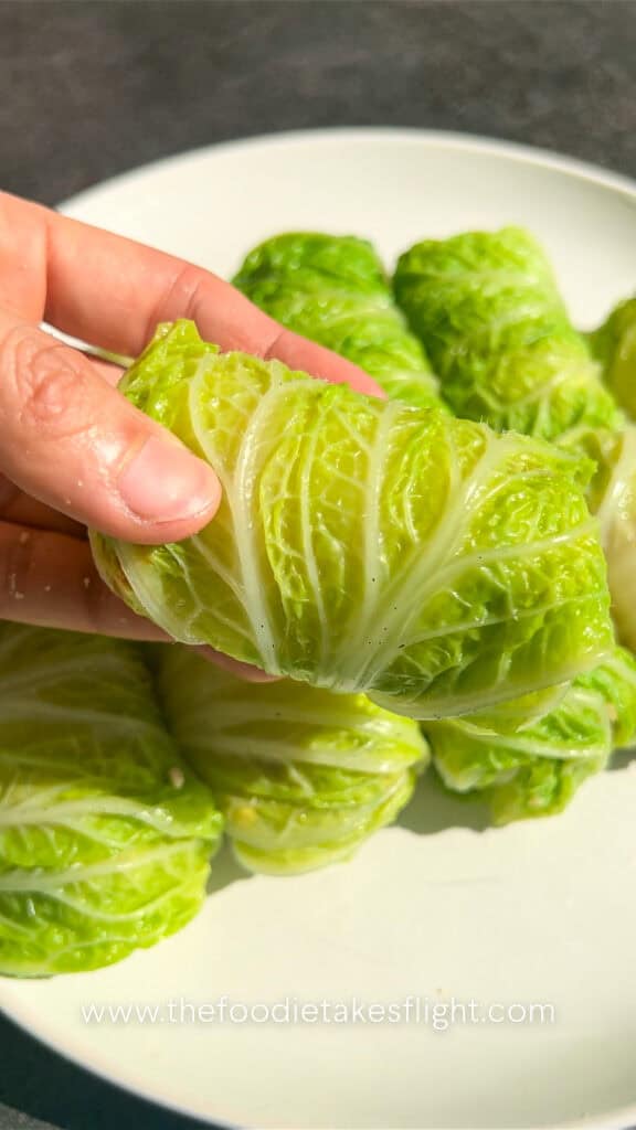 cabbage rolls