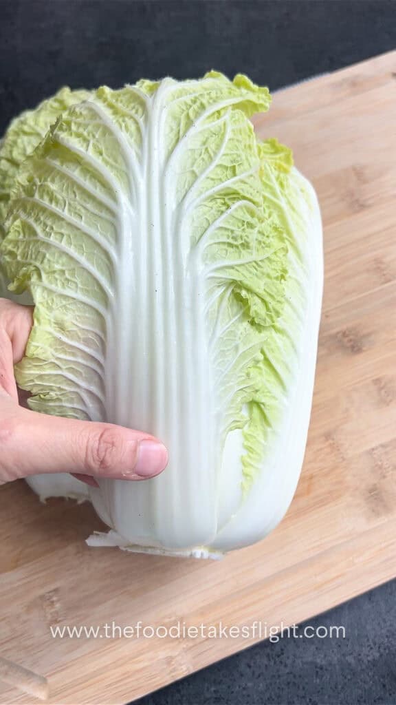 napa cabbage