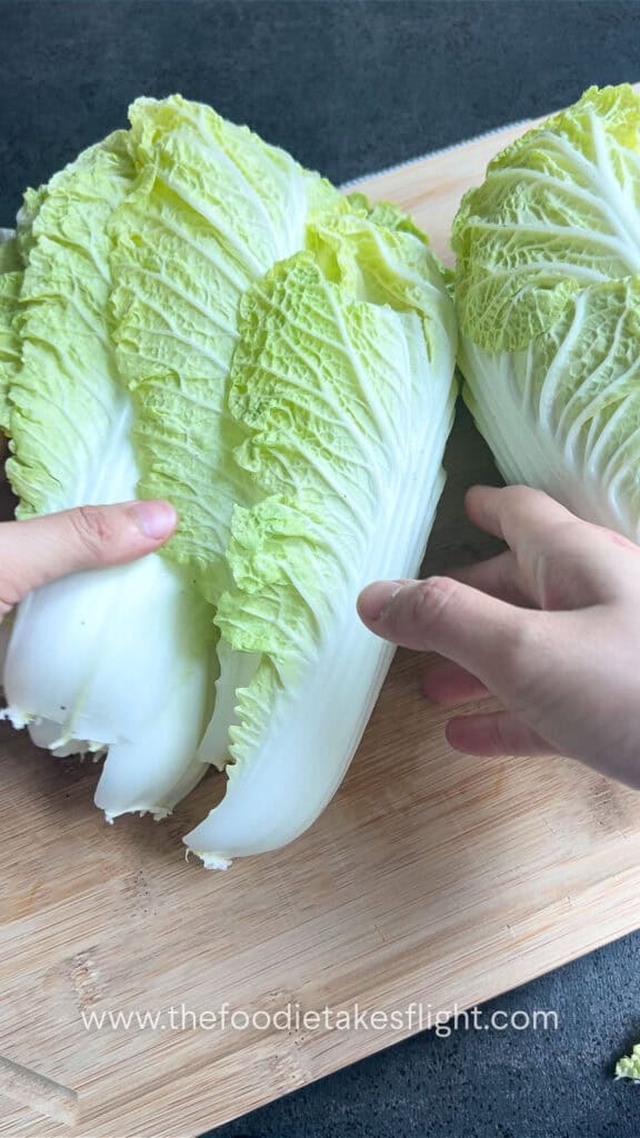 napa cabbage