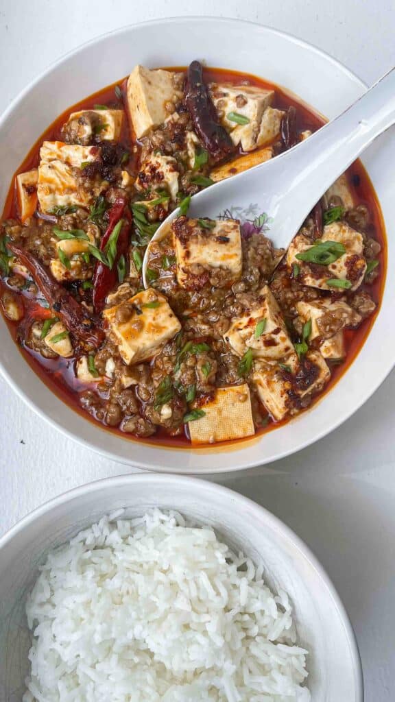 vegan mapo tofu with rice