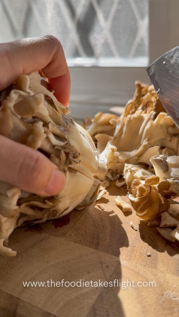 tearing apart fresh maitake or hen of the wood mushrooms