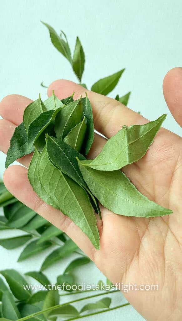fresh curry leaves
