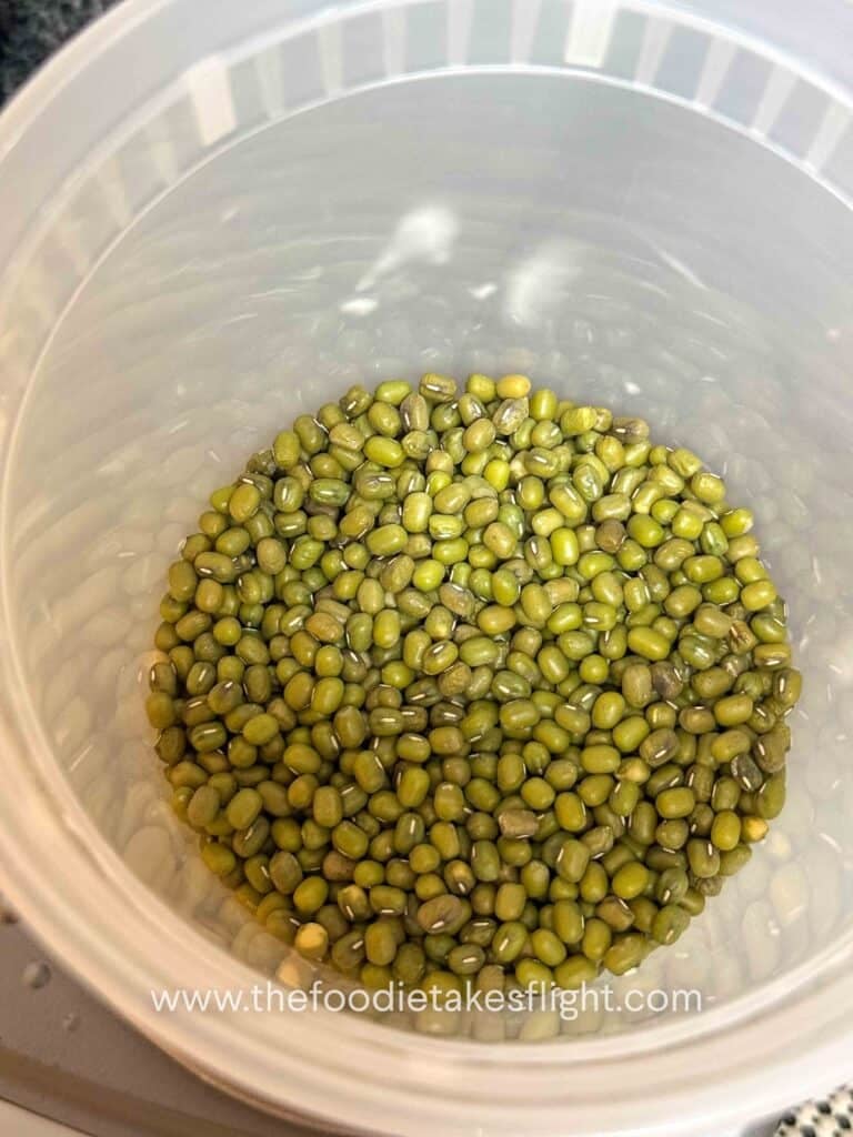 green mung beans in a deli container