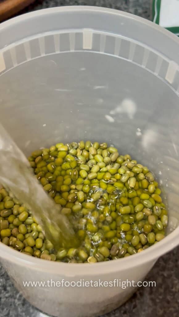 Soaked mung beans in a deli container