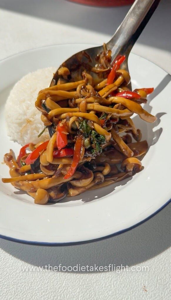 Mushroom kra pao stir-fry with mixed mushrooms, chili, garlic, and basil in a rich savory sauce served with rice