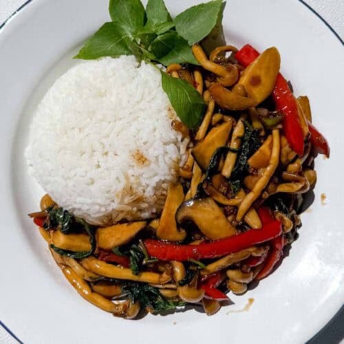 Mushroom kra pao stir-fry with mixed mushrooms, chili, garlic, and basil in a rich savory sauce served with rice