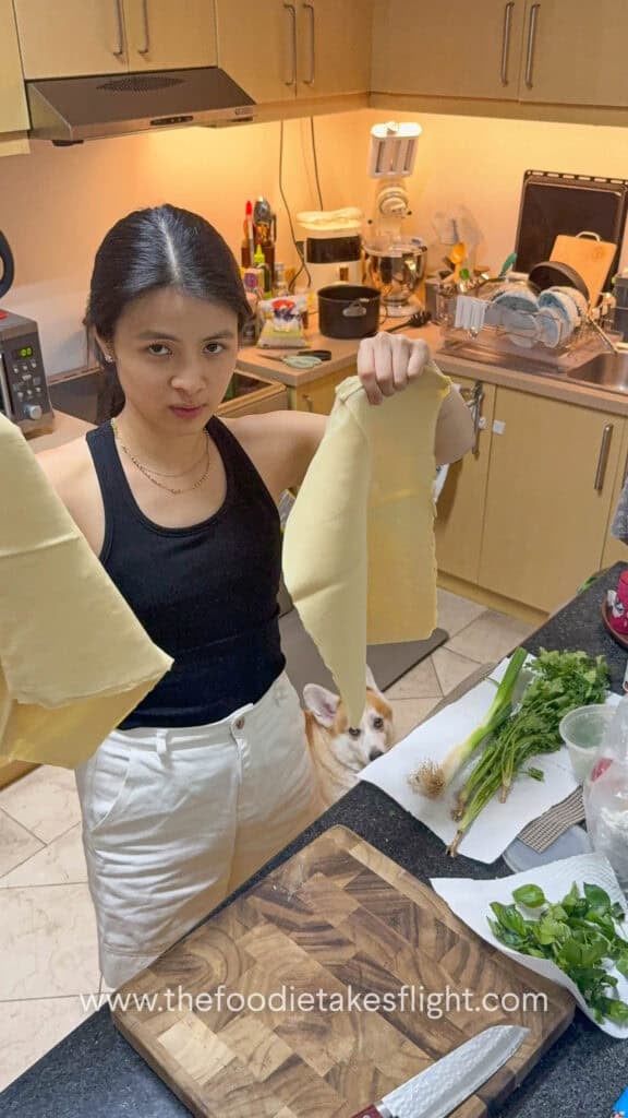 asian girl holding tofu or beancurd sheets / skin