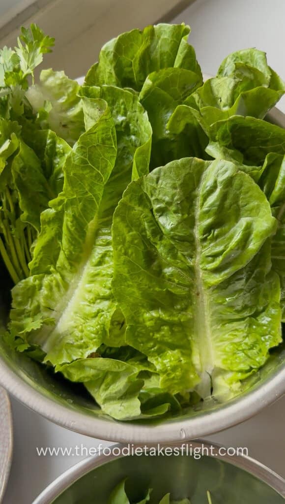 romaine lettuce leaves