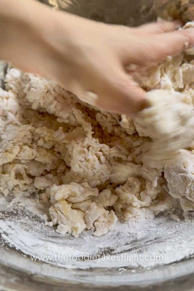 All-purpose flour, salt, olive oil, and yeast mixture combined into a shaggy pita dough